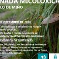 XORNADA MICOLXICA (CASTRELO DE MIO)